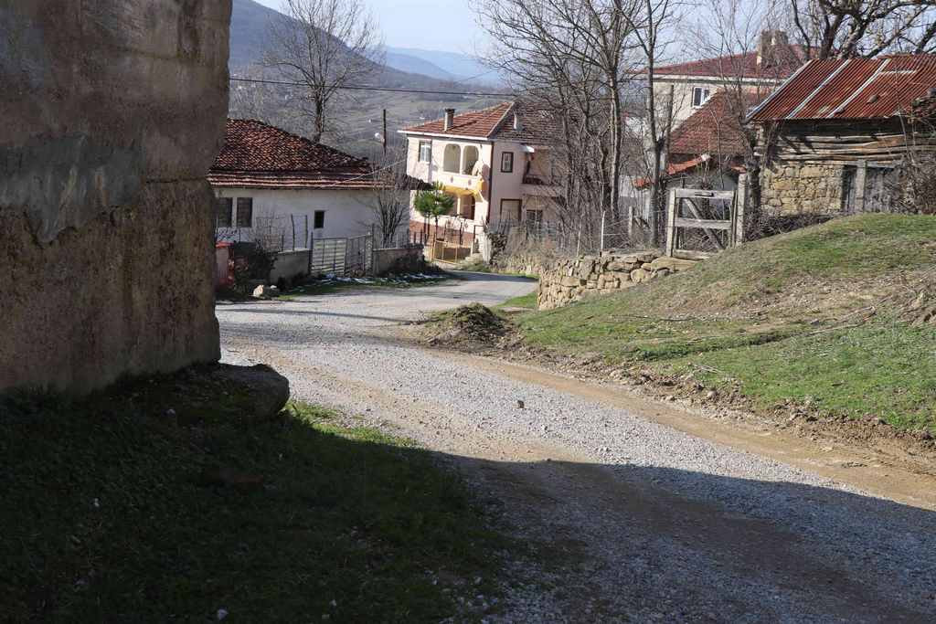 Şeyhli